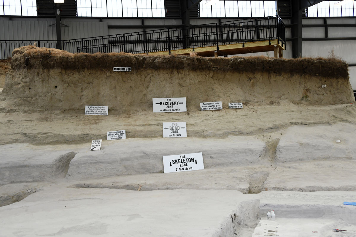 041 The layers above the fossils.JPG